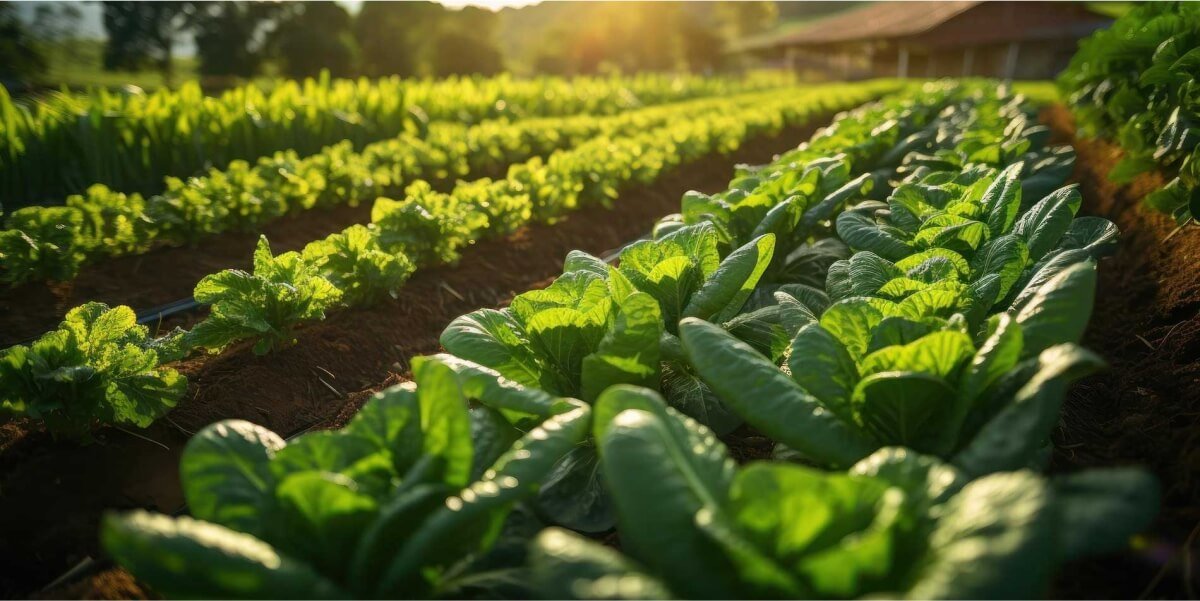 SWATI SHREE AGRI GENETICS PVT LTD