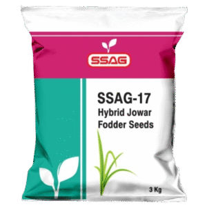 SSAG-17 Hybrid Jowar Fodder Seeds (3 Kg)