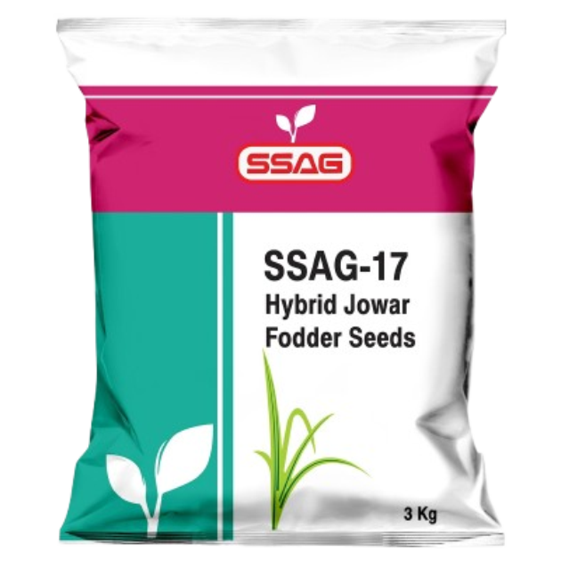 SSAG-17 Hybrid Jowar Fodder Seeds (3 Kg)