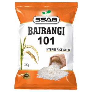 SSAG Bajrangi 101 Hybrid Rice Seed (3 Kg)