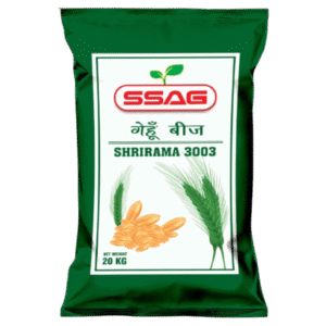 SSAG Super Kedar Wheat Seed (20 kg)