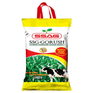 SSG-Gorush Hybrid Sorghum Sudan Grass (5 Kg)