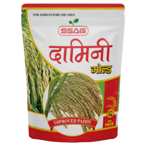 SSAG Damini Gold Improved Paddy (2 Kg)