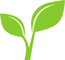 SWATI SHREE AGRI GENETICS PVT LTD
