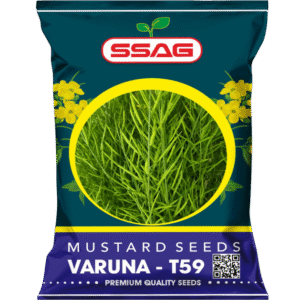 VARUNA – T59 Mustard Seeds (Premium Quality)