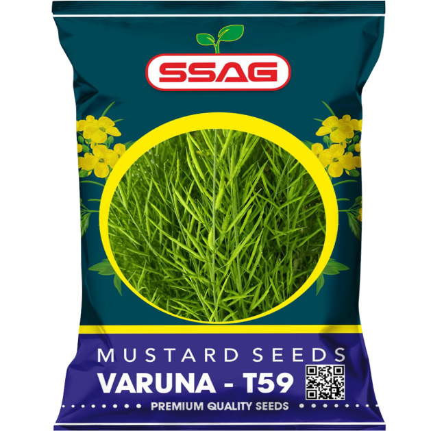 VARUNA – T59 Mustard Seeds (Premium Quality)