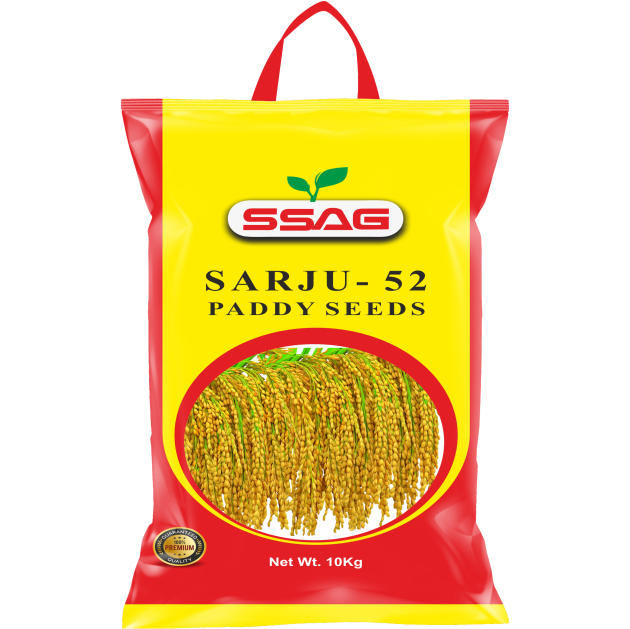 Sarju-52 Paddy Seed (10 Kg)