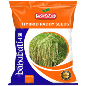 Bahubali-130 Hybrid Paddy Seed (3 Kg)