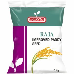 Raja Improved Paddy Seed &nbsp;&nbsp;&nbsp;&nbsp;&nbsp;&nbsp;3 Kg