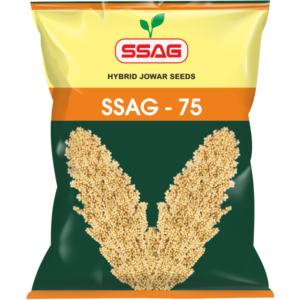 Hybrid Jowar Seeds (3 Kg)