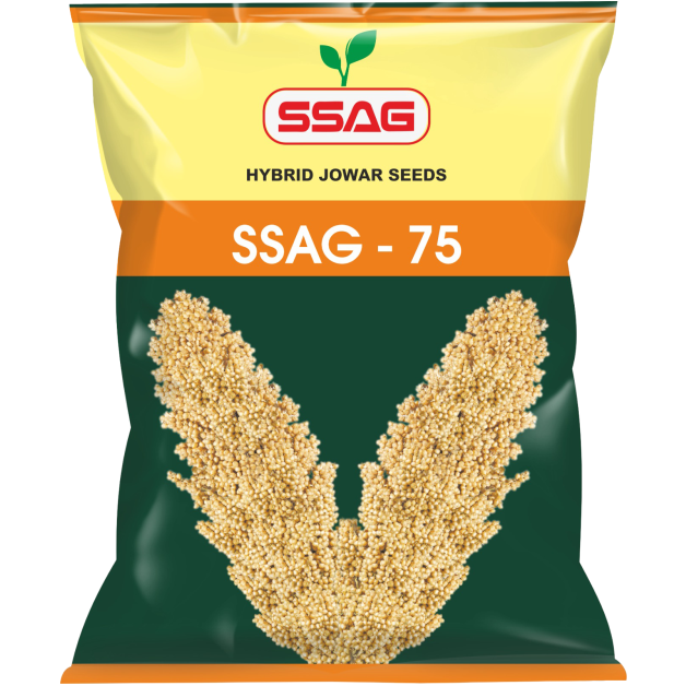 Hybrid Jowar Seeds (3 Kg)